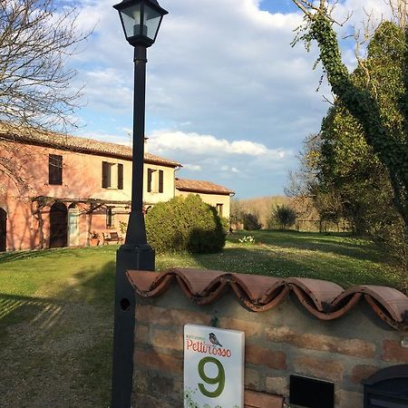 Pensjonat Agriturismo Il Pettirosso Forlì Zewnętrze zdjęcie