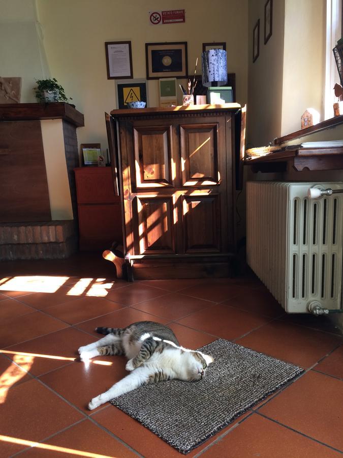 Pensjonat Agriturismo Il Pettirosso Forlì Zewnętrze zdjęcie