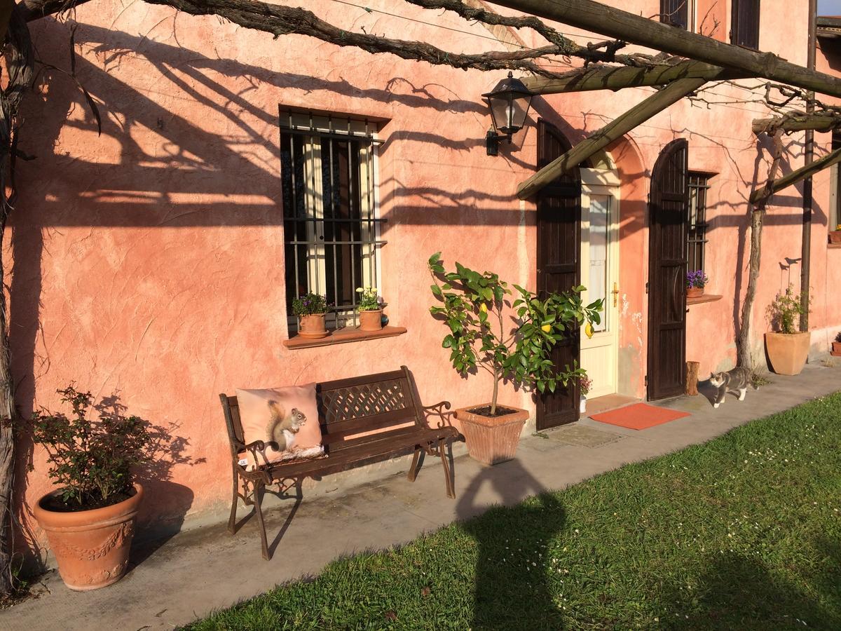 Pensjonat Agriturismo Il Pettirosso Forlì Zewnętrze zdjęcie