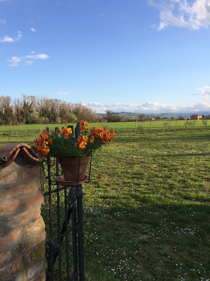 Pensjonat Agriturismo Il Pettirosso Forlì Zewnętrze zdjęcie